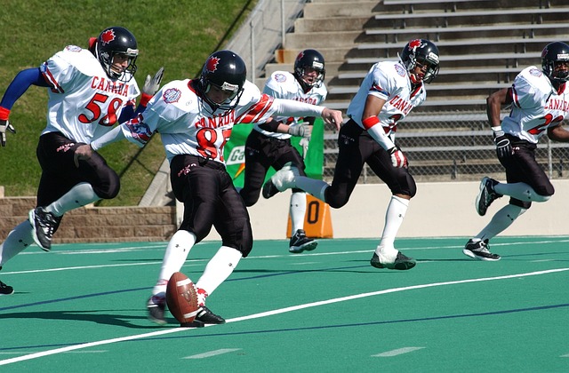 感染的运动 感染的运动