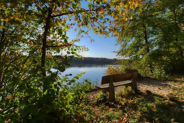 式足球更多 式足球更多