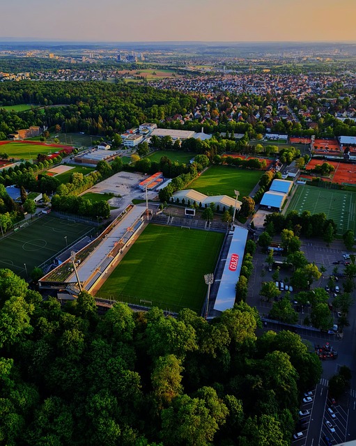 升的潜力 升的潜力